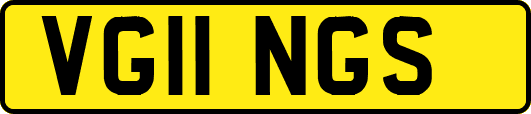 VG11NGS