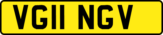 VG11NGV