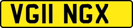 VG11NGX