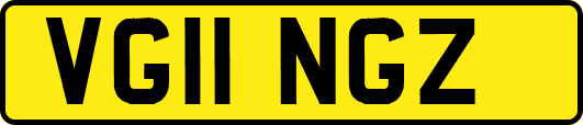 VG11NGZ