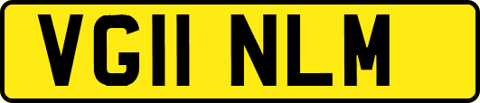 VG11NLM