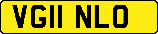 VG11NLO