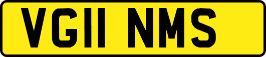 VG11NMS