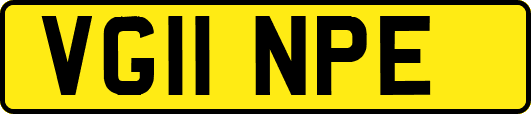 VG11NPE