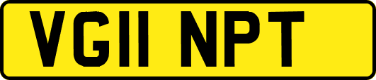 VG11NPT