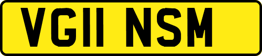 VG11NSM