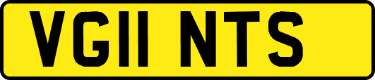 VG11NTS