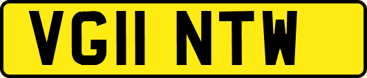 VG11NTW