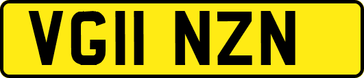 VG11NZN