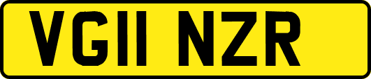 VG11NZR