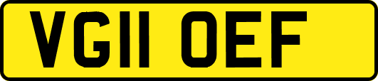 VG11OEF