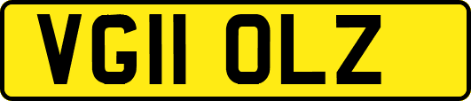 VG11OLZ