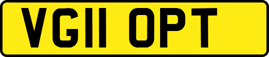 VG11OPT