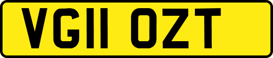 VG11OZT