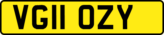VG11OZY