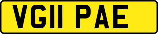 VG11PAE