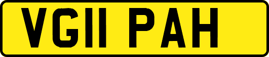 VG11PAH