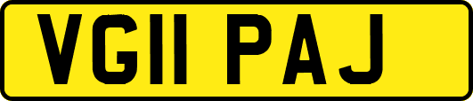 VG11PAJ
