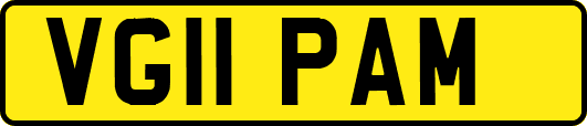 VG11PAM