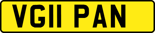 VG11PAN
