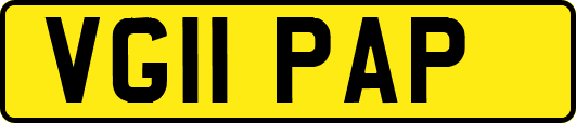 VG11PAP