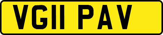 VG11PAV
