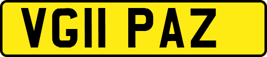 VG11PAZ