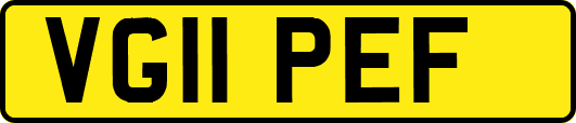 VG11PEF