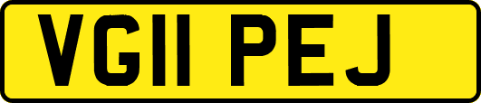 VG11PEJ