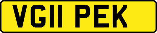 VG11PEK