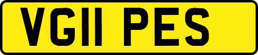 VG11PES