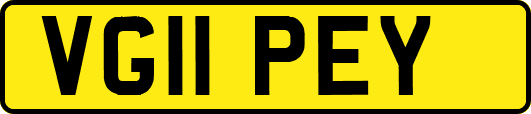 VG11PEY