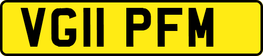 VG11PFM