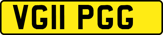 VG11PGG