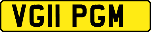 VG11PGM