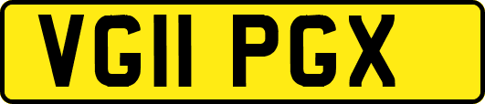 VG11PGX