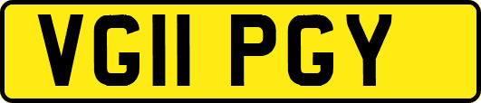 VG11PGY
