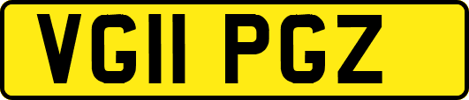 VG11PGZ