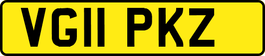 VG11PKZ
