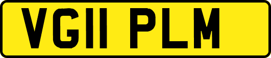 VG11PLM