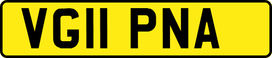 VG11PNA