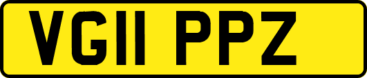 VG11PPZ