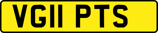 VG11PTS
