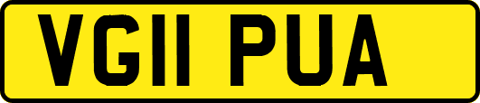 VG11PUA