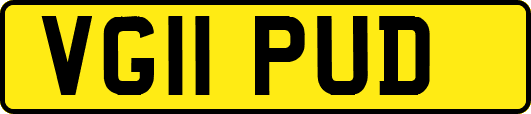 VG11PUD