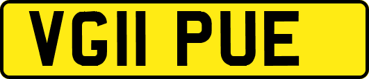 VG11PUE