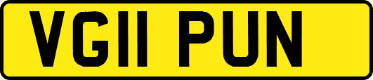 VG11PUN