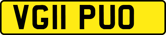 VG11PUO