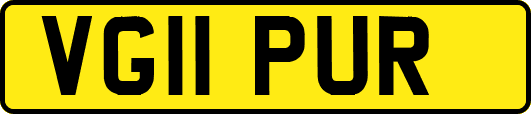 VG11PUR