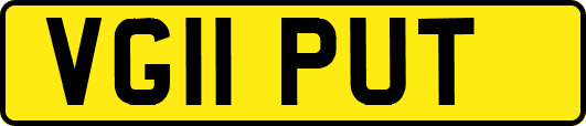 VG11PUT